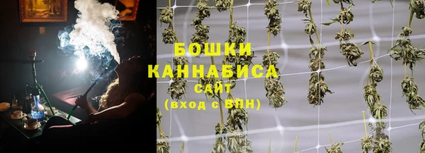 ПСИЛОЦИБИНОВЫЕ ГРИБЫ Баксан
