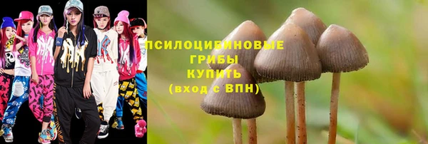 spice Балахна
