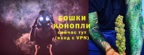 ПСИЛОЦИБИНОВЫЕ ГРИБЫ Баксан