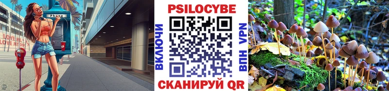 OMG ссылка  Горнозаводск  Псилоцибиновые грибы Psilocybine cubensis 